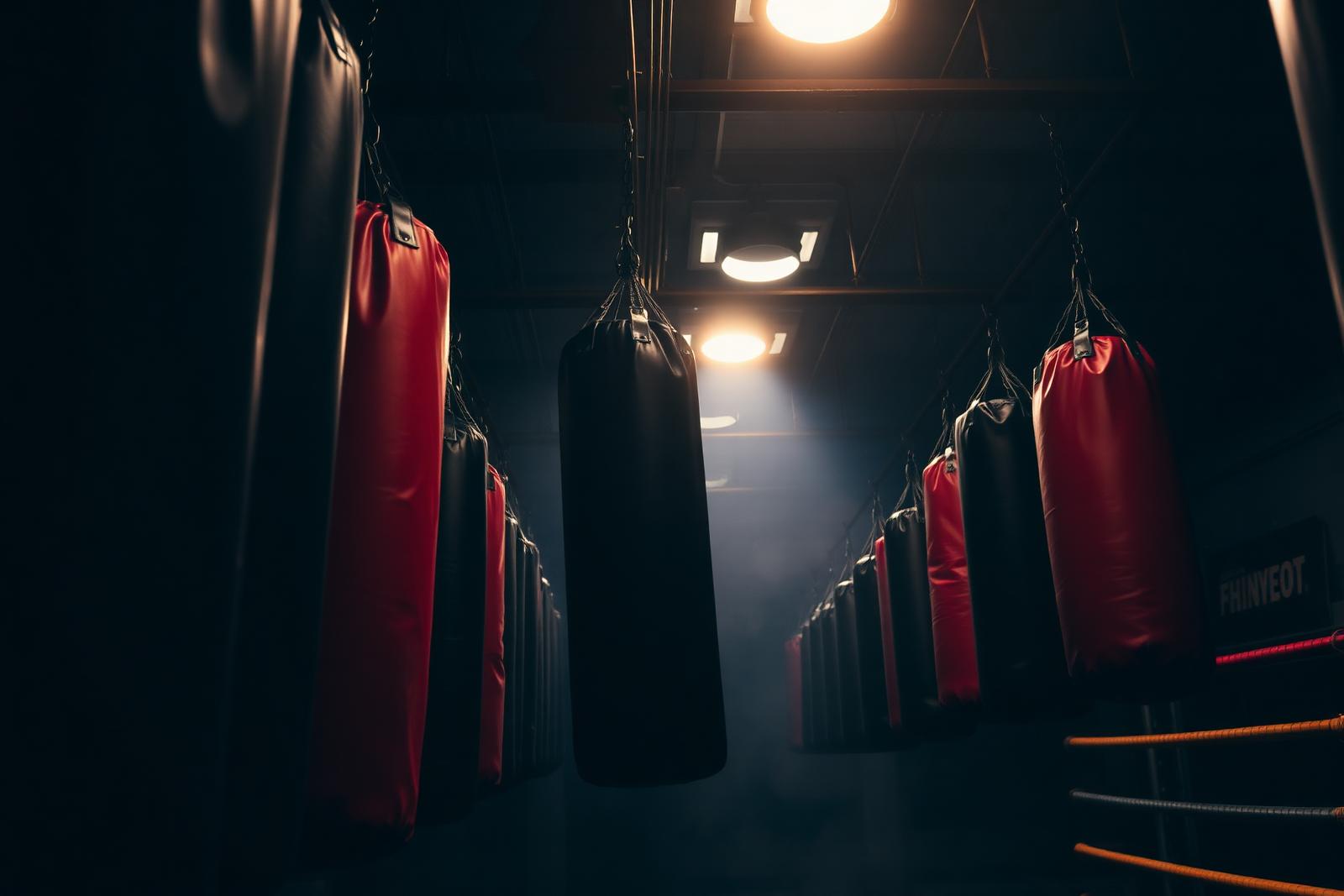 Adult Boxing